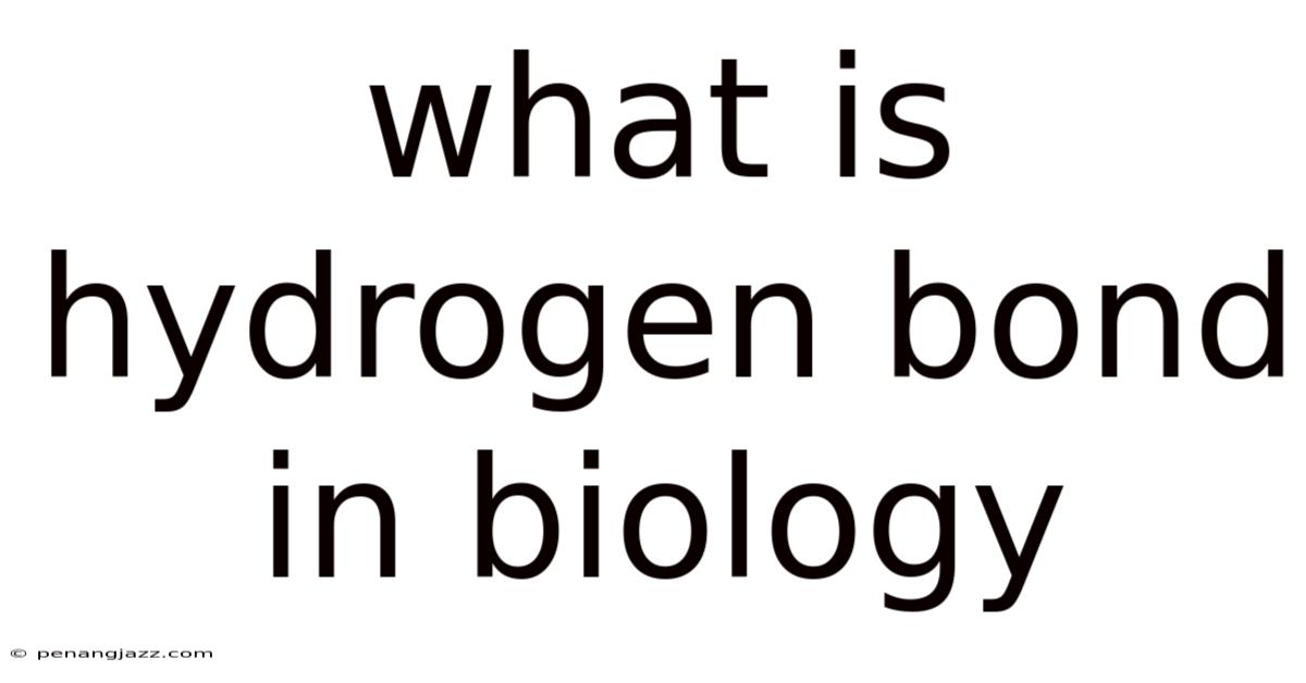 What Is Hydrogen Bond In Biology