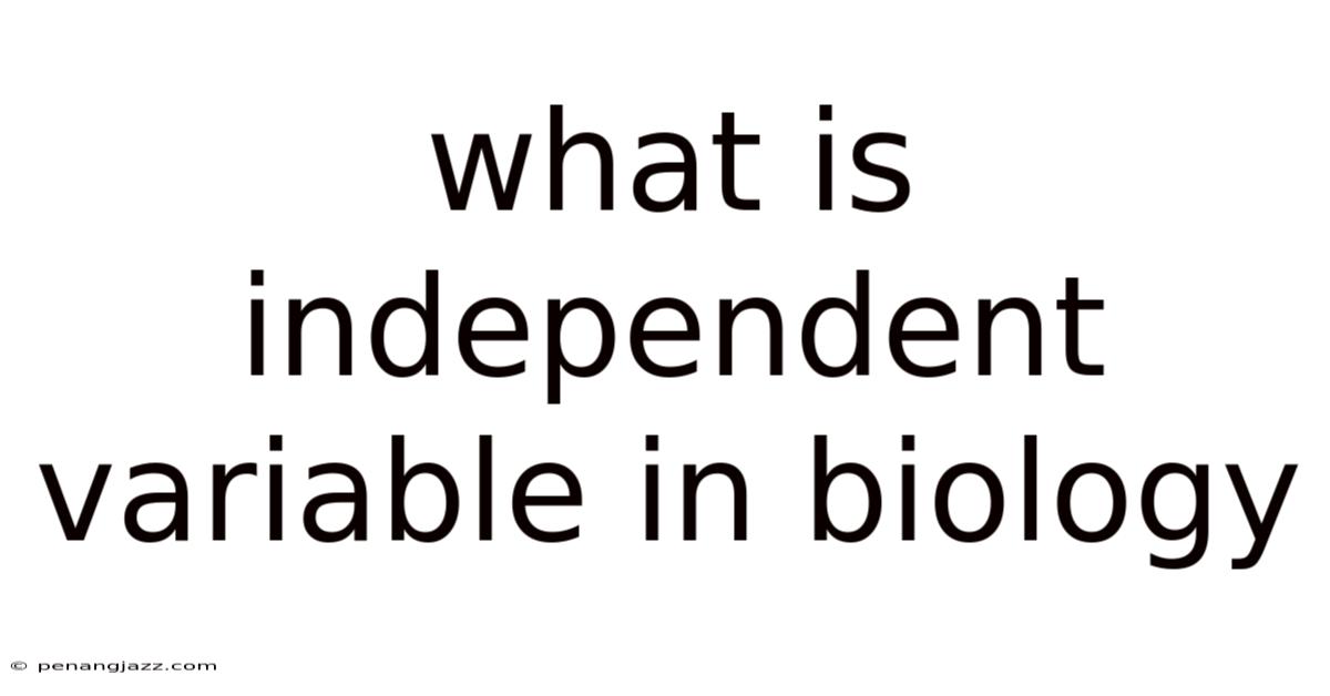 What Is Independent Variable In Biology