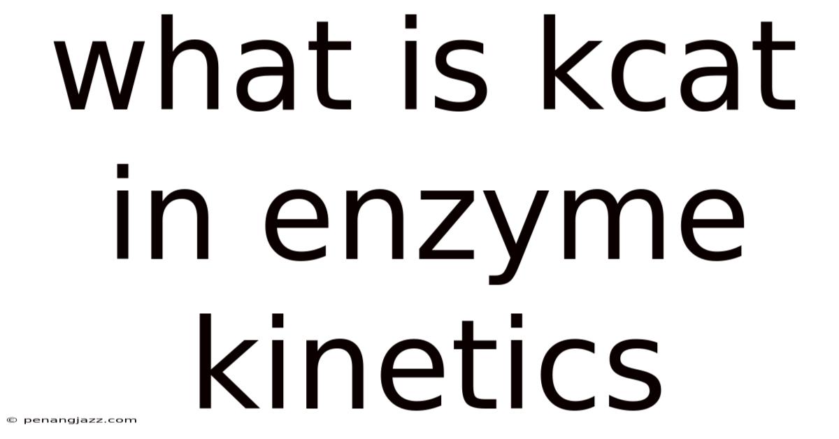 What Is Kcat In Enzyme Kinetics