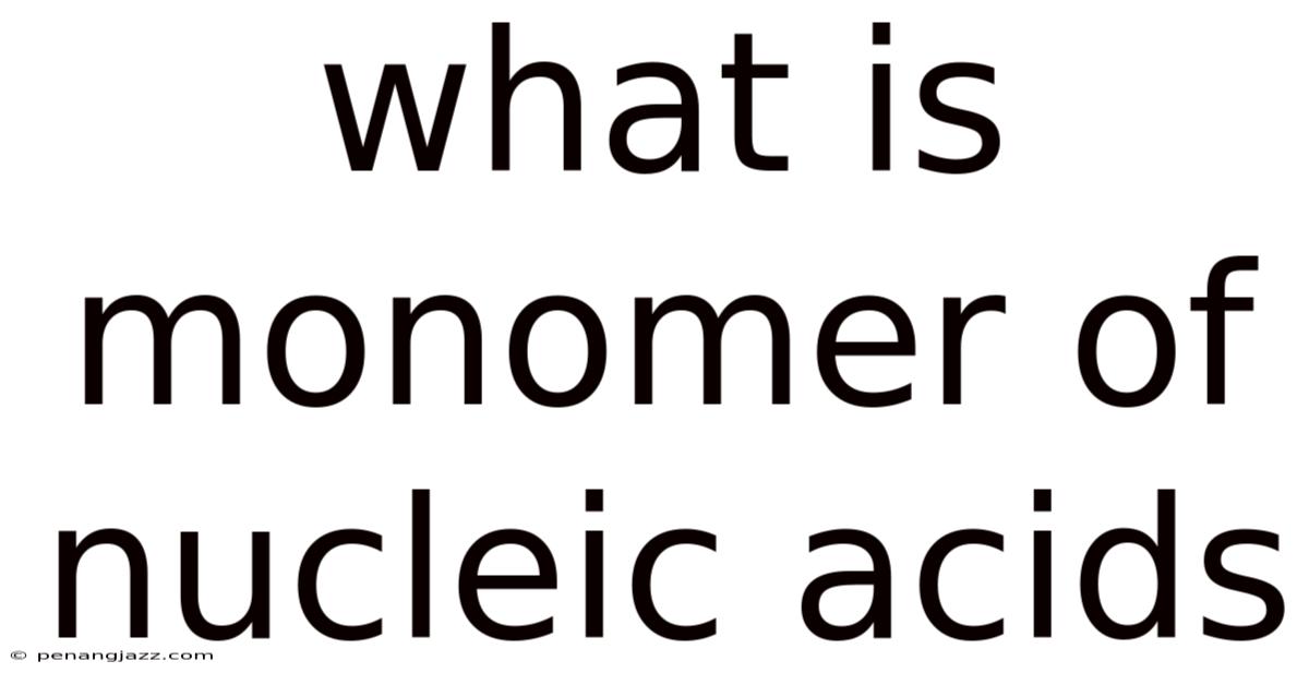 What Is Monomer Of Nucleic Acids