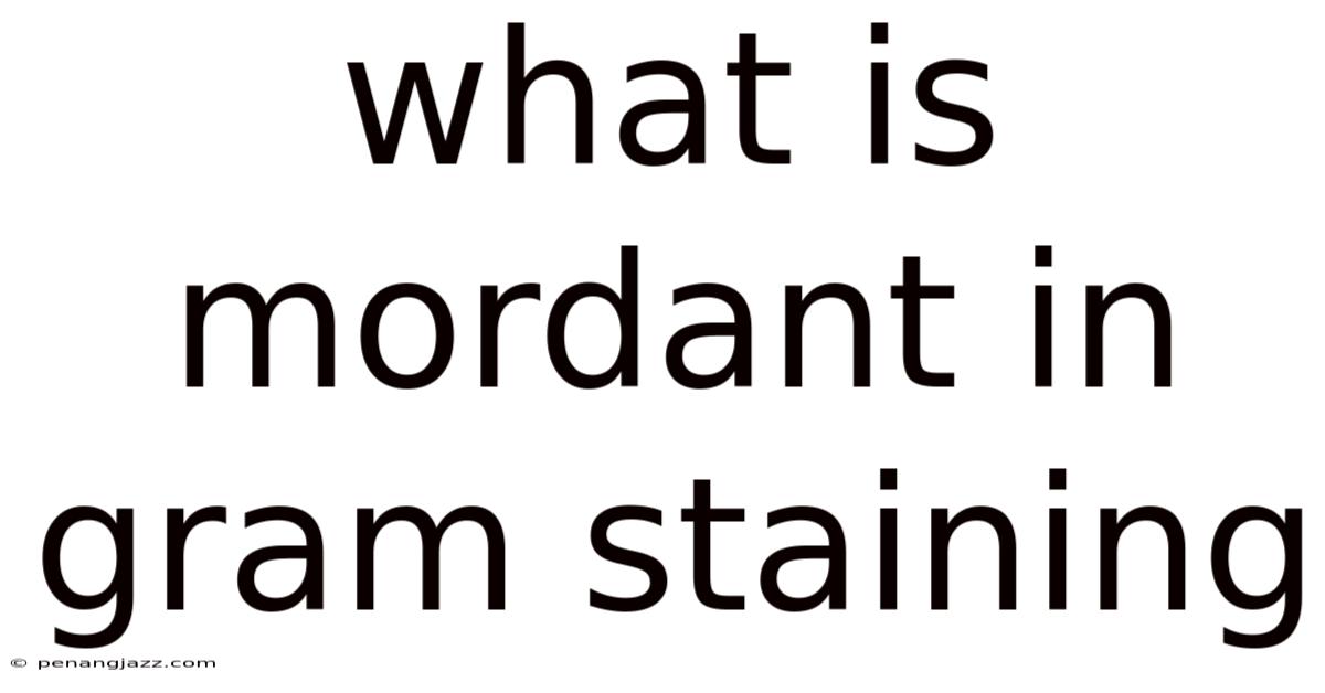 What Is Mordant In Gram Staining