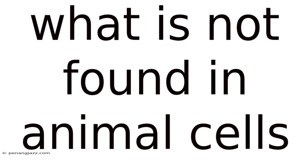 What Is Not Found In Animal Cells