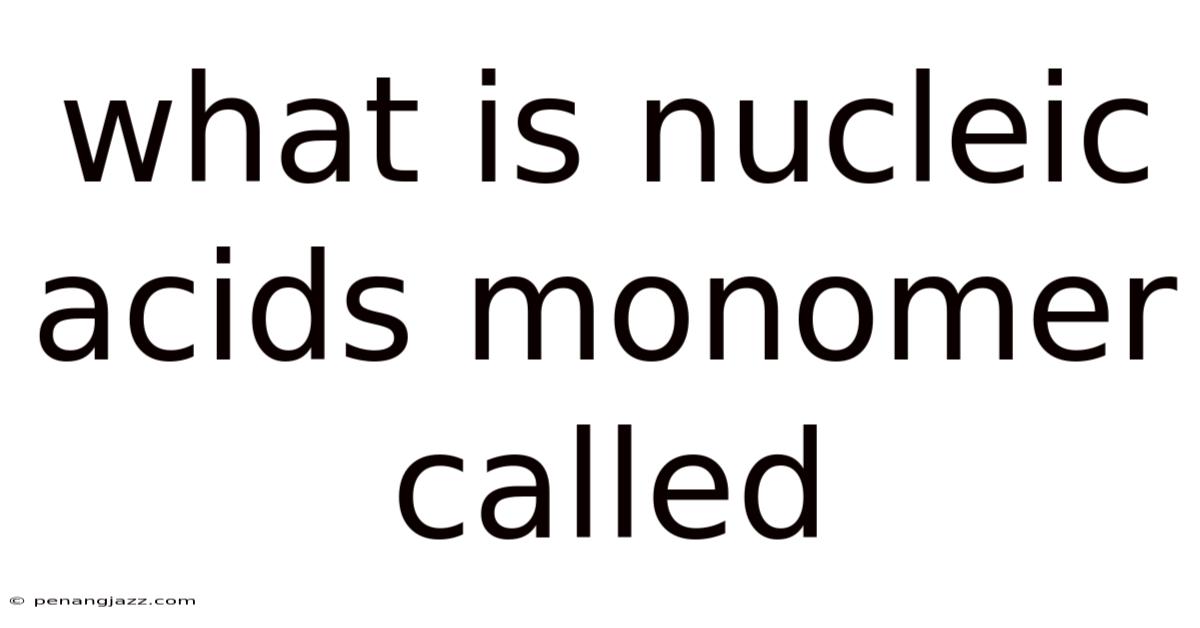 What Is Nucleic Acids Monomer Called