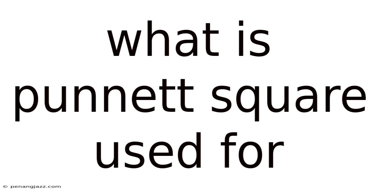 What Is Punnett Square Used For