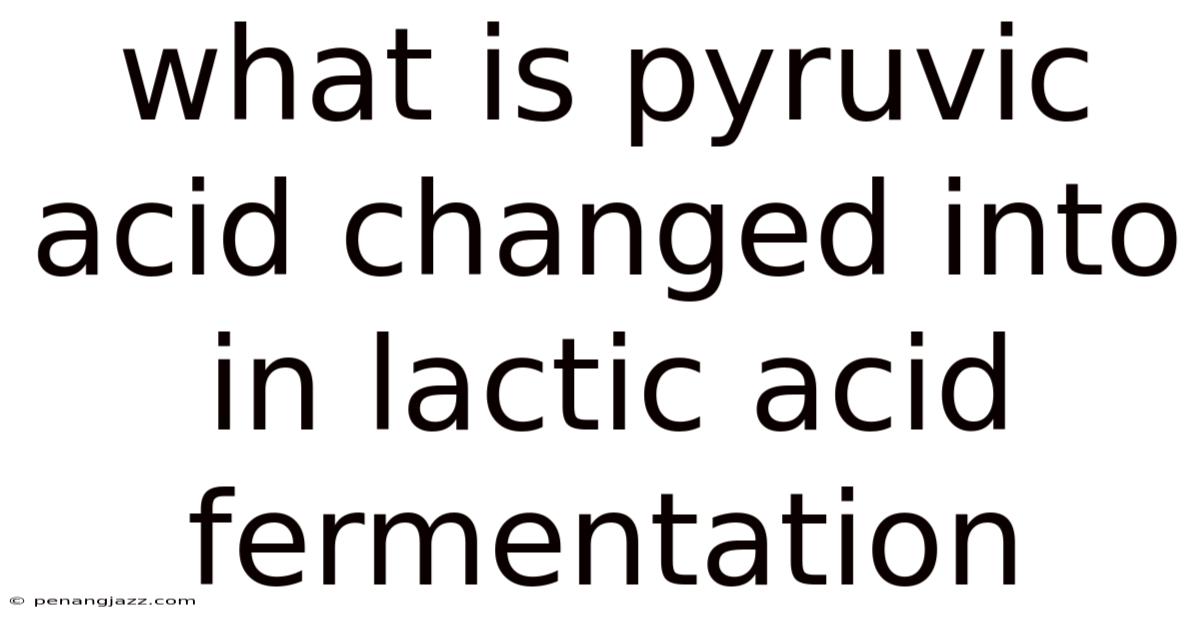 What Is Pyruvic Acid Changed Into In Lactic Acid Fermentation