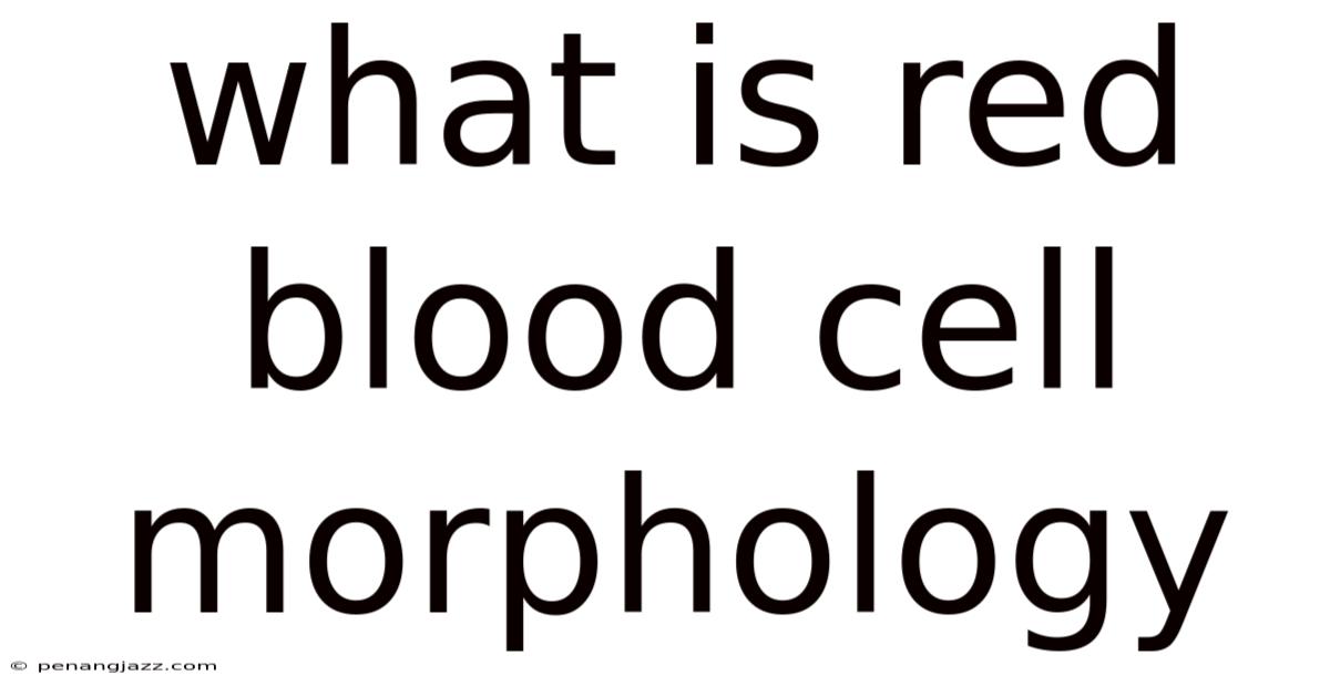 What Is Red Blood Cell Morphology