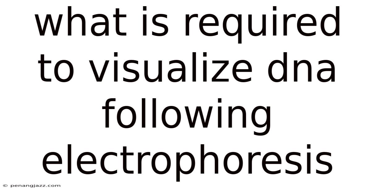 What Is Required To Visualize Dna Following Electrophoresis