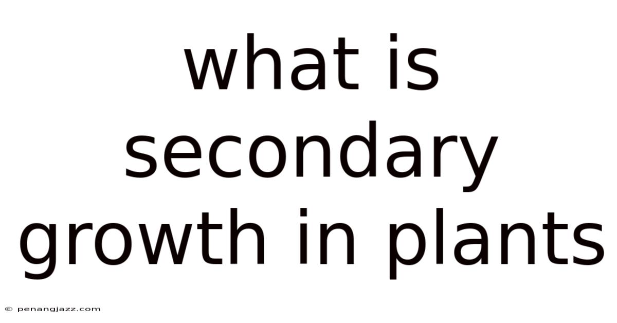 What Is Secondary Growth In Plants