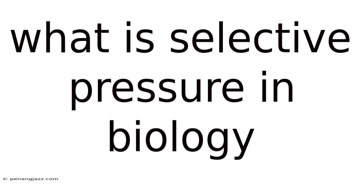 What Is Selective Pressure In Biology
