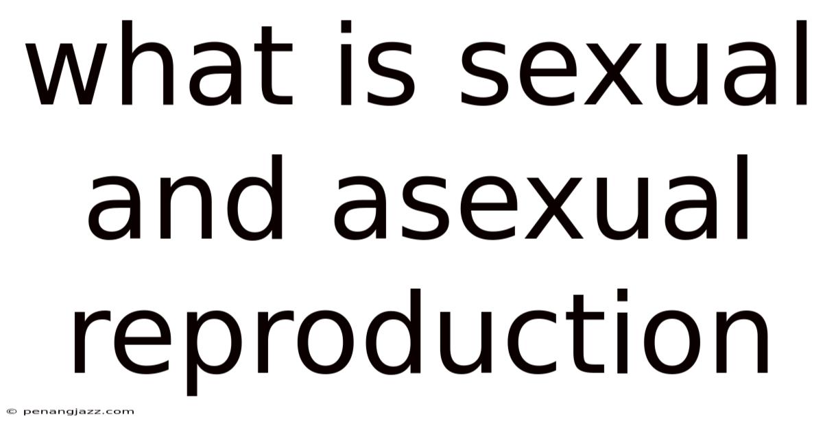 What Is Sexual And Asexual Reproduction