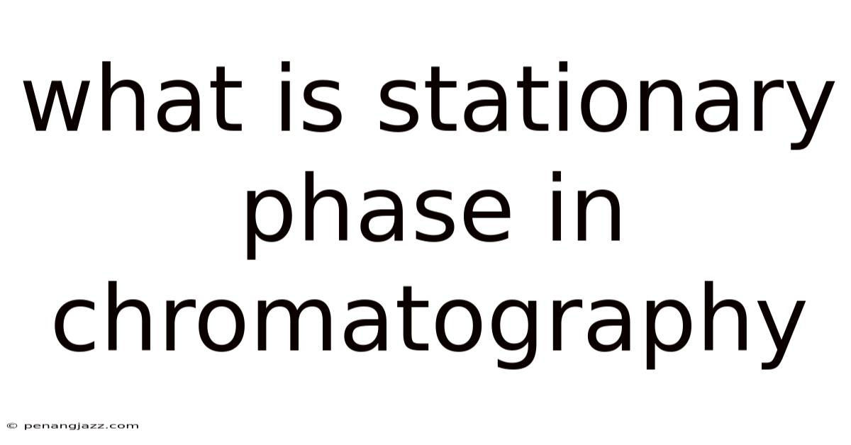 What Is Stationary Phase In Chromatography