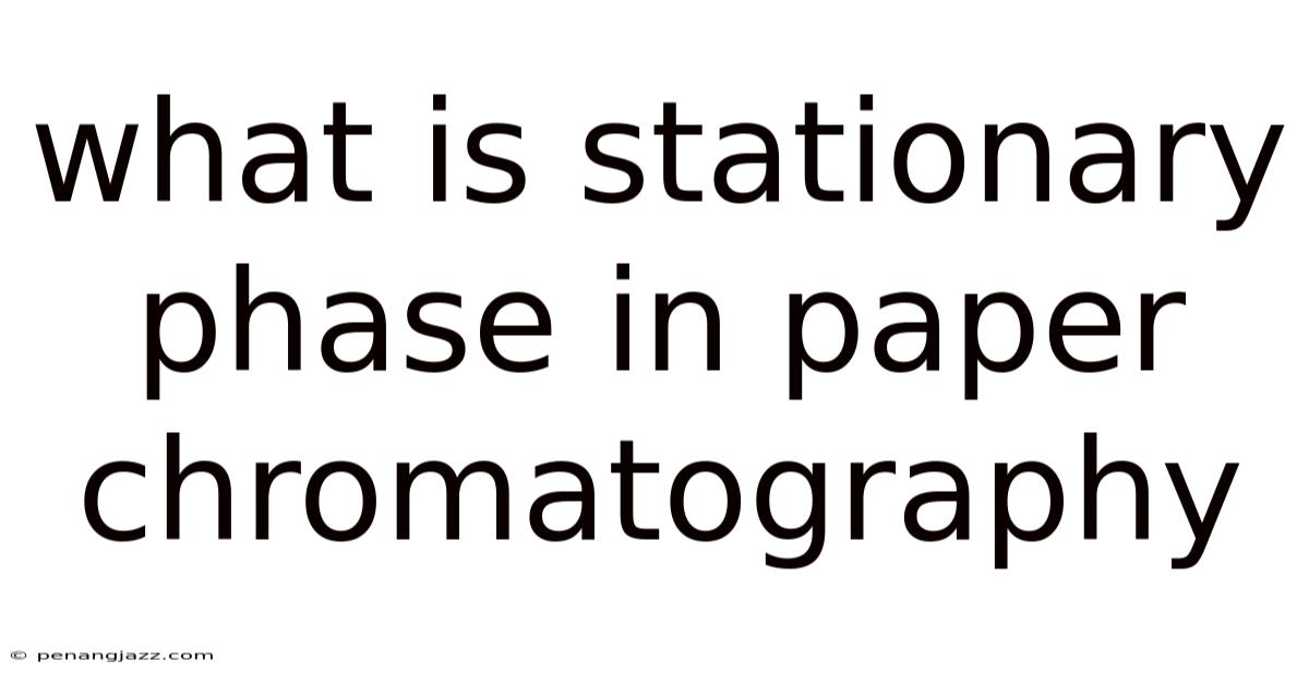 What Is Stationary Phase In Paper Chromatography