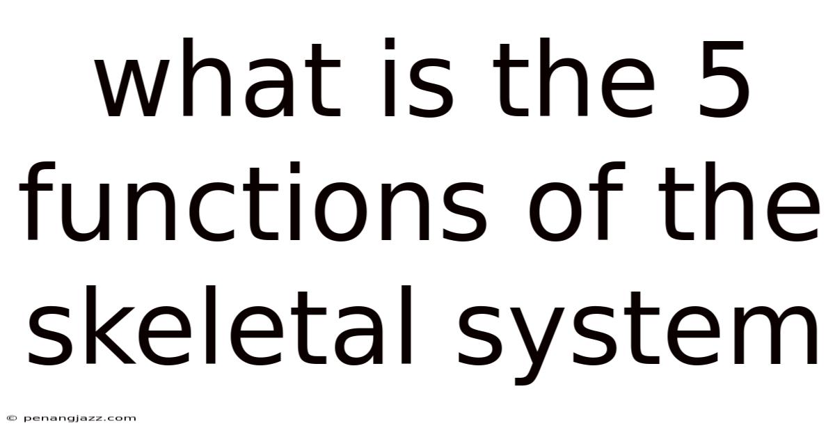 What Is The 5 Functions Of The Skeletal System