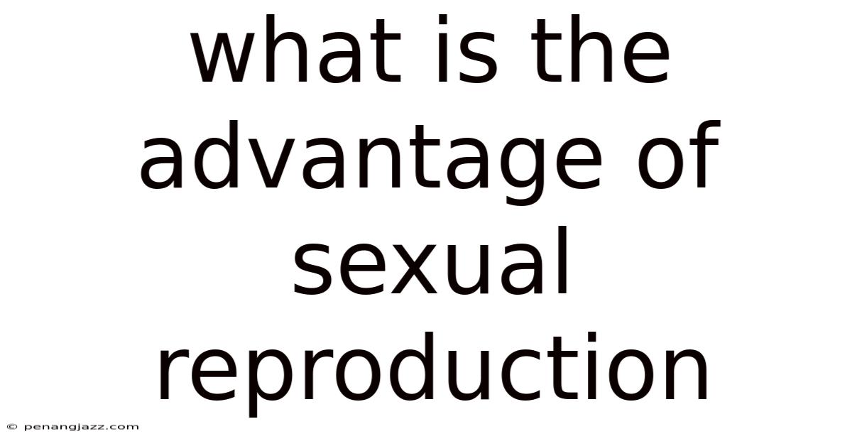 What Is The Advantage Of Sexual Reproduction