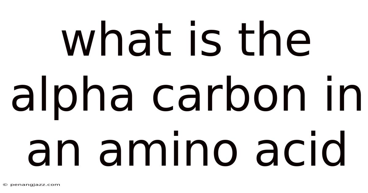 What Is The Alpha Carbon In An Amino Acid