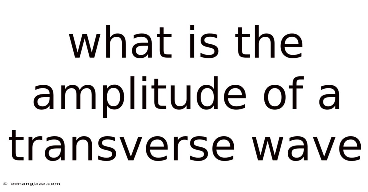 What Is The Amplitude Of A Transverse Wave