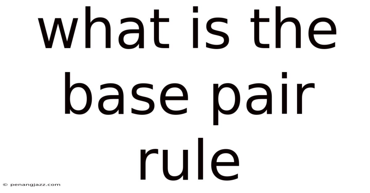 What Is The Base Pair Rule