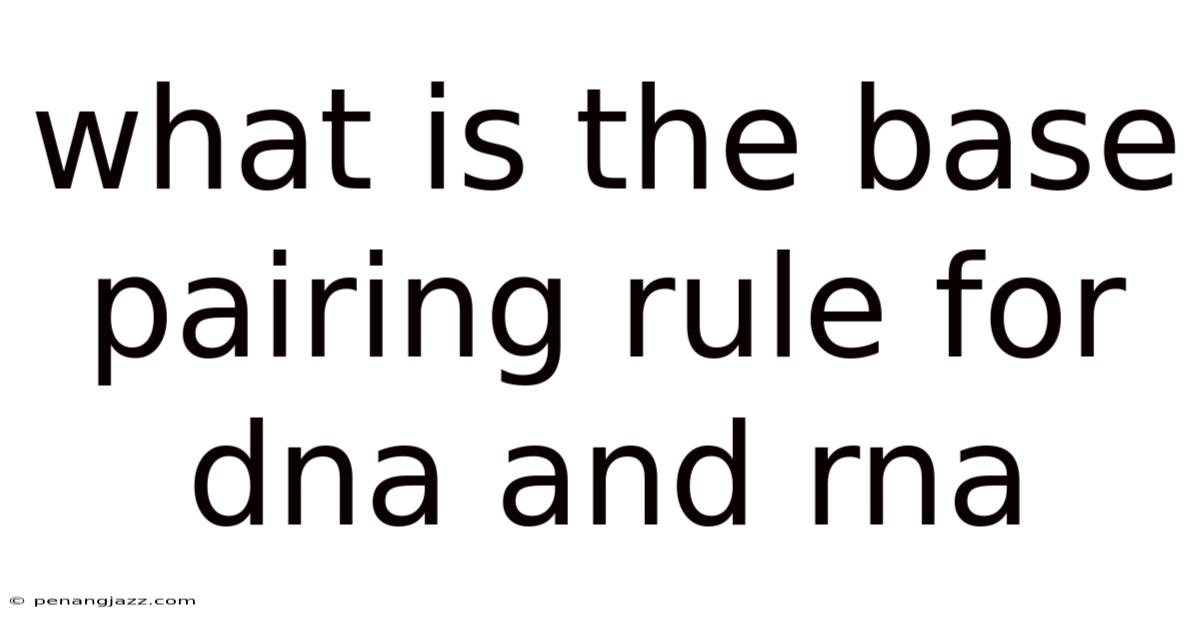 What Is The Base Pairing Rule For Dna And Rna