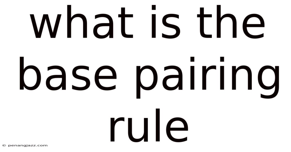 What Is The Base Pairing Rule