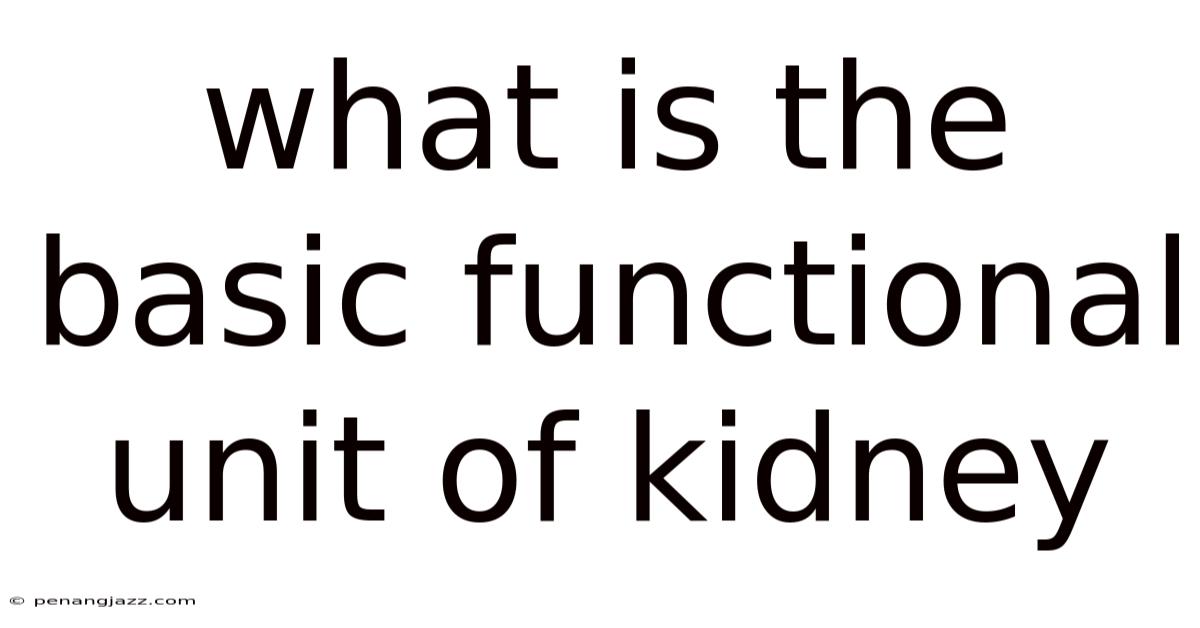 What Is The Basic Functional Unit Of Kidney
