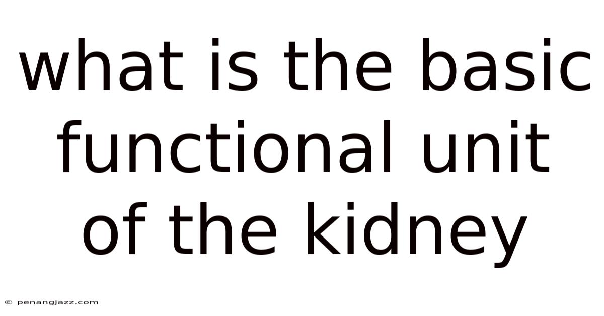 What Is The Basic Functional Unit Of The Kidney