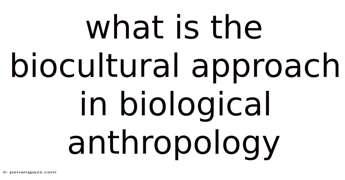 What Is The Biocultural Approach In Biological Anthropology