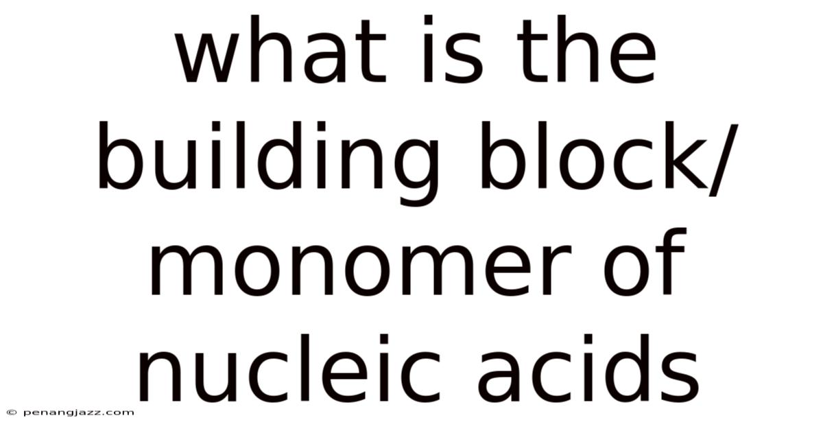 What Is The Building Block/monomer Of Nucleic Acids