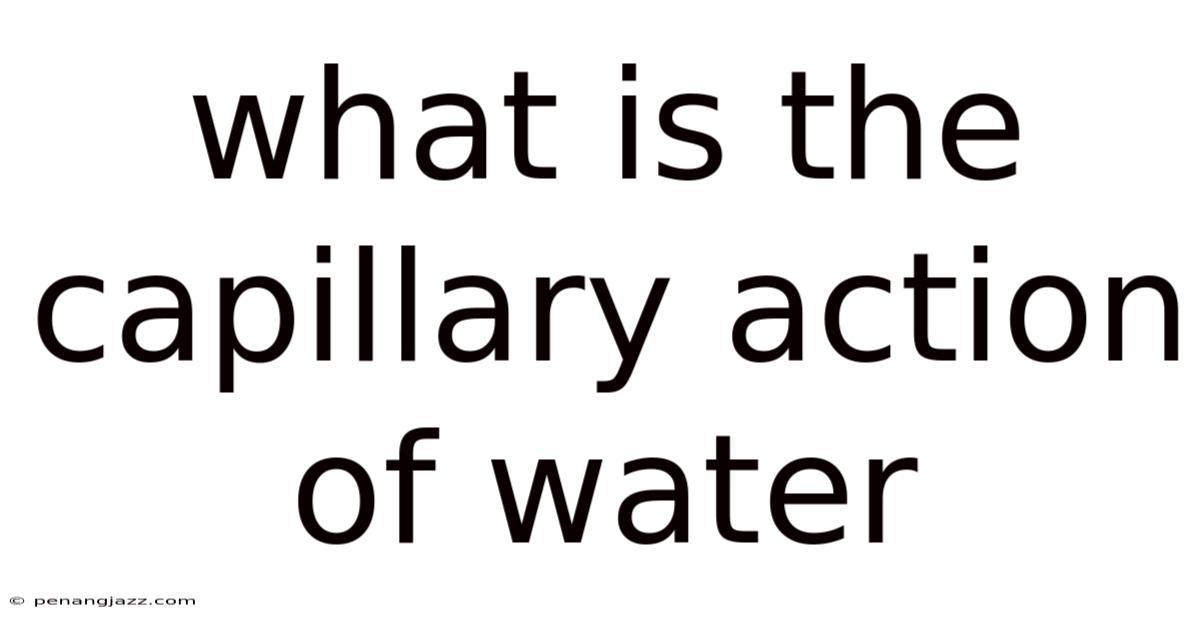 What Is The Capillary Action Of Water