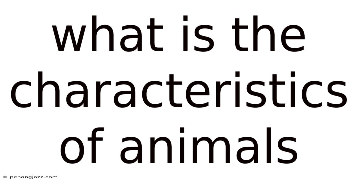 What Is The Characteristics Of Animals
