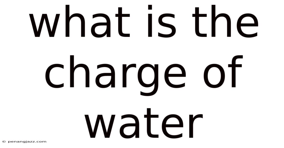 What Is The Charge Of Water