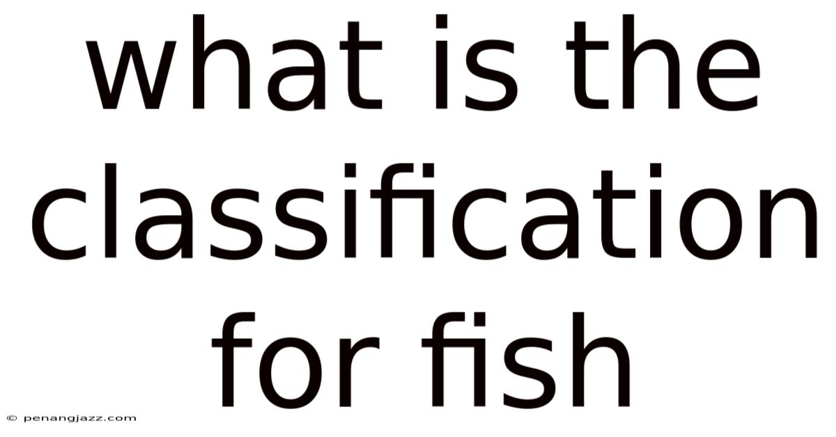 What Is The Classification For Fish