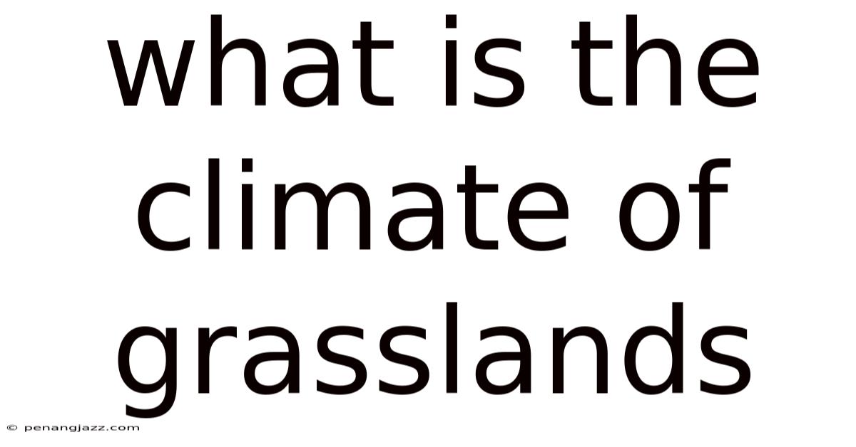 What Is The Climate Of Grasslands