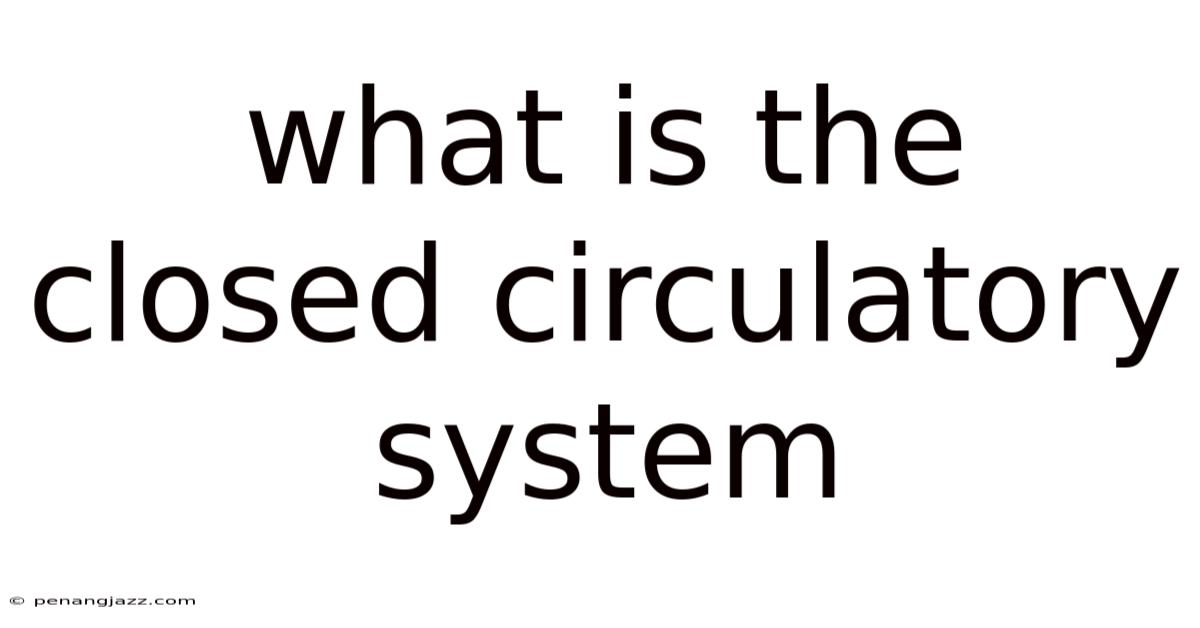 What Is The Closed Circulatory System