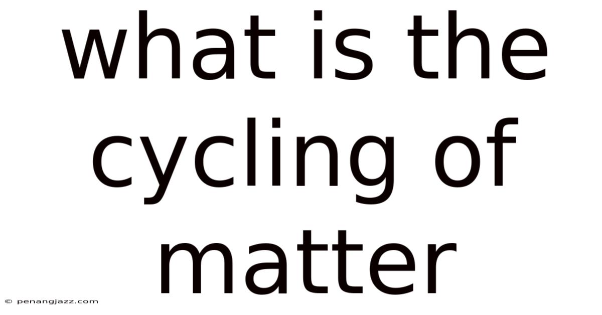 What Is The Cycling Of Matter