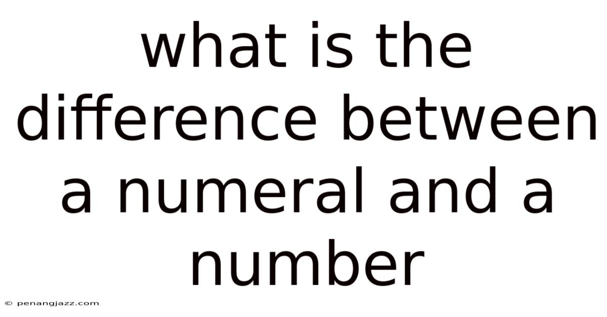 What Is The Difference Between A Numeral And A Number