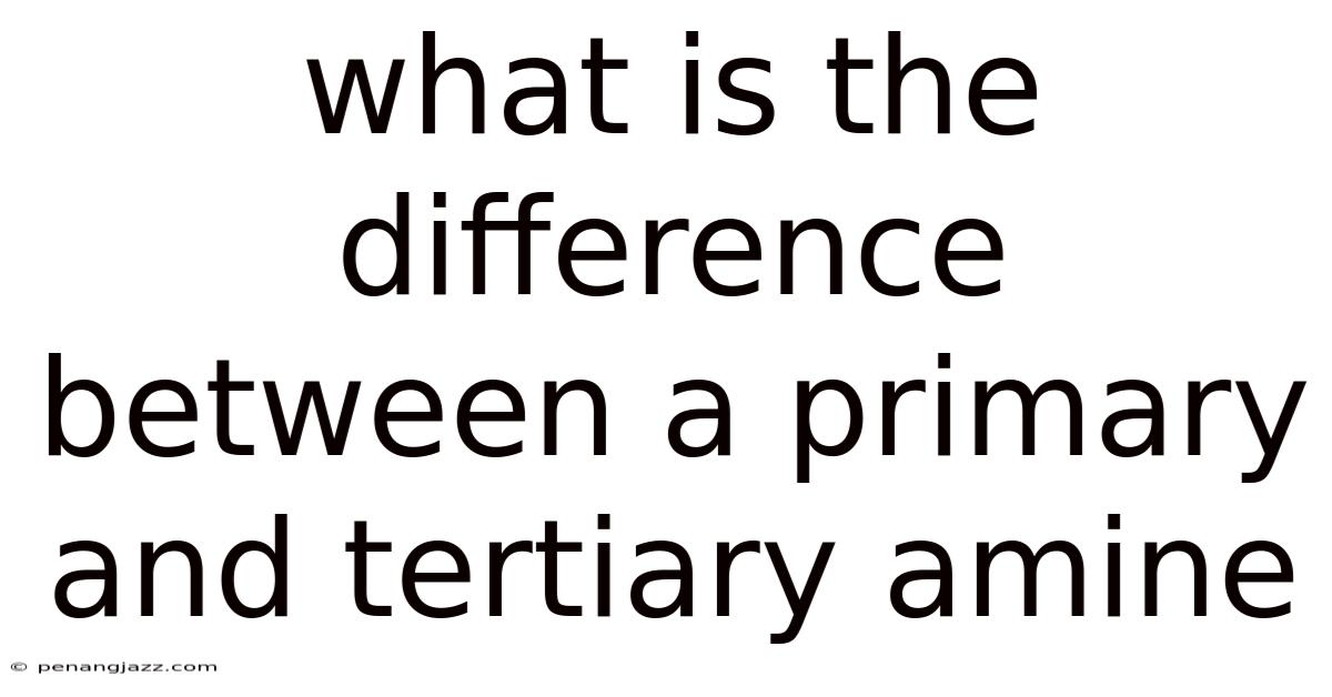 What Is The Difference Between A Primary And Tertiary Amine