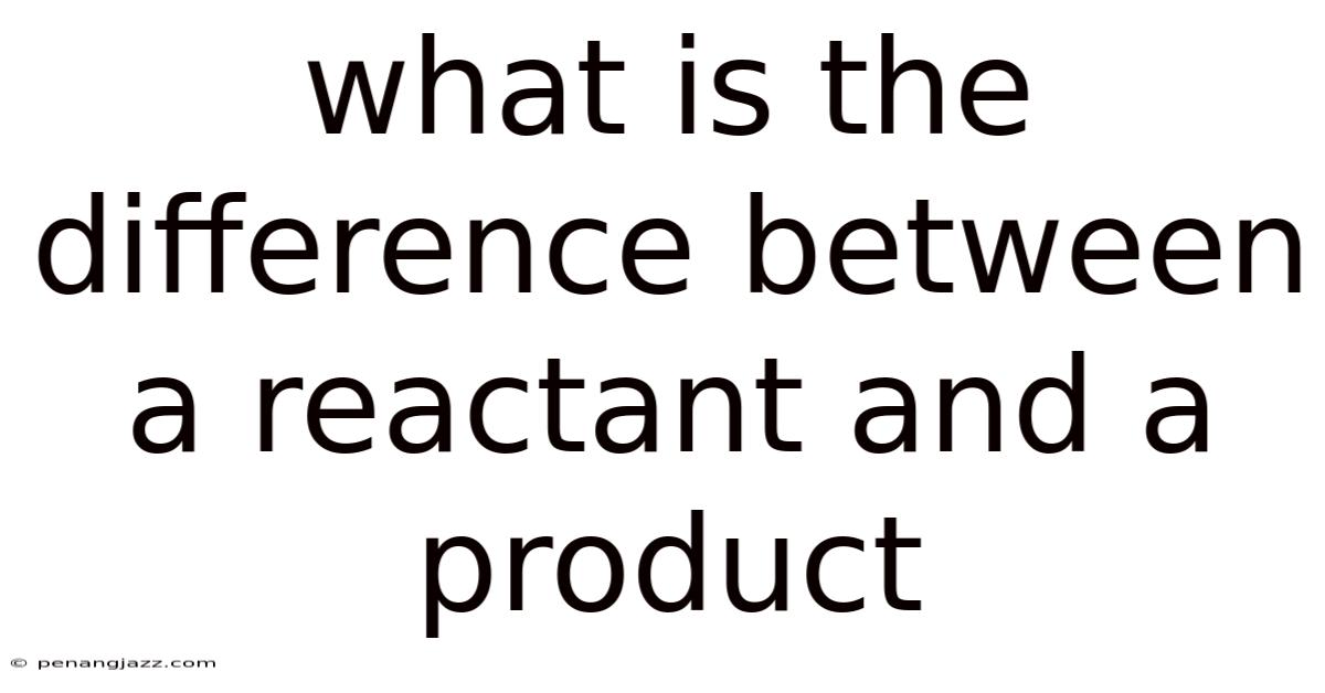 What Is The Difference Between A Reactant And A Product