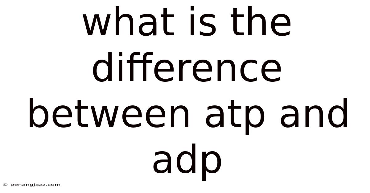 What Is The Difference Between Atp And Adp