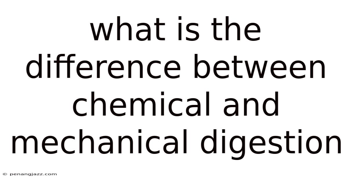 What Is The Difference Between Chemical And Mechanical Digestion