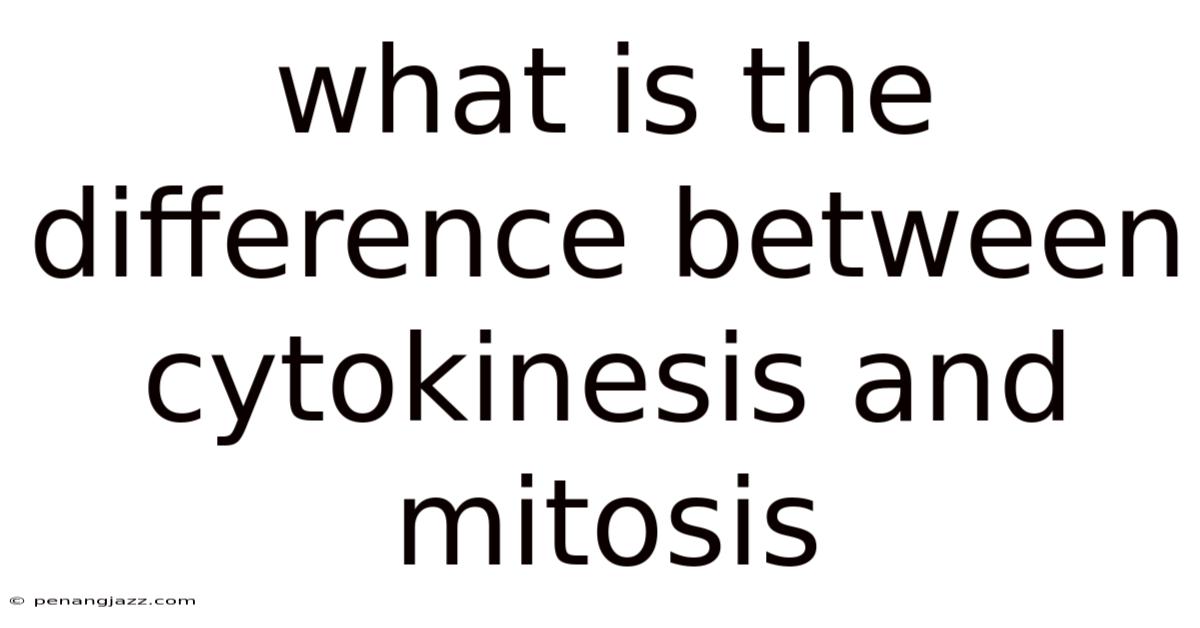 What Is The Difference Between Cytokinesis And Mitosis