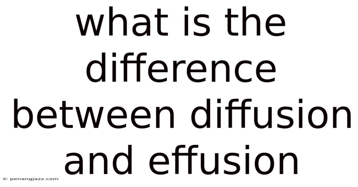 What Is The Difference Between Diffusion And Effusion