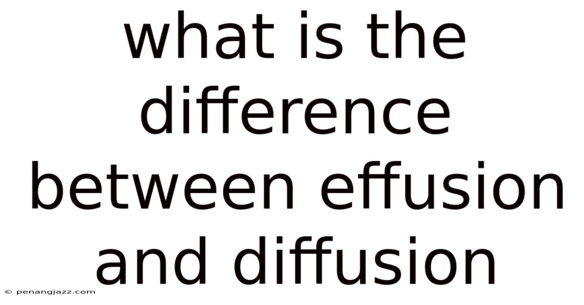 What Is The Difference Between Effusion And Diffusion
