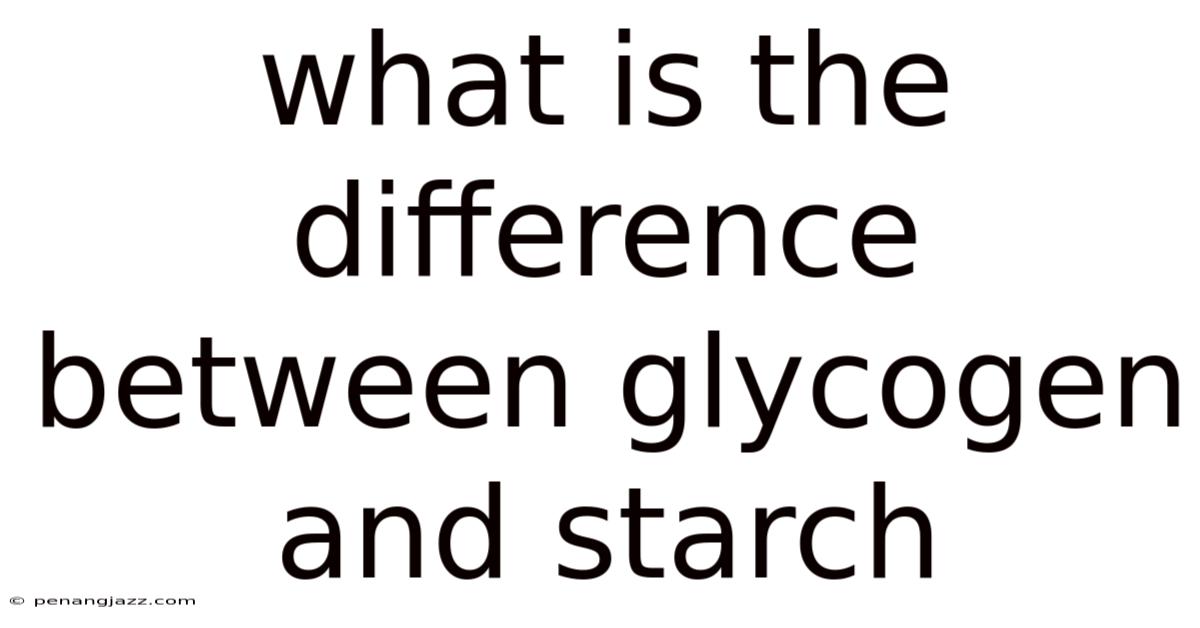 What Is The Difference Between Glycogen And Starch