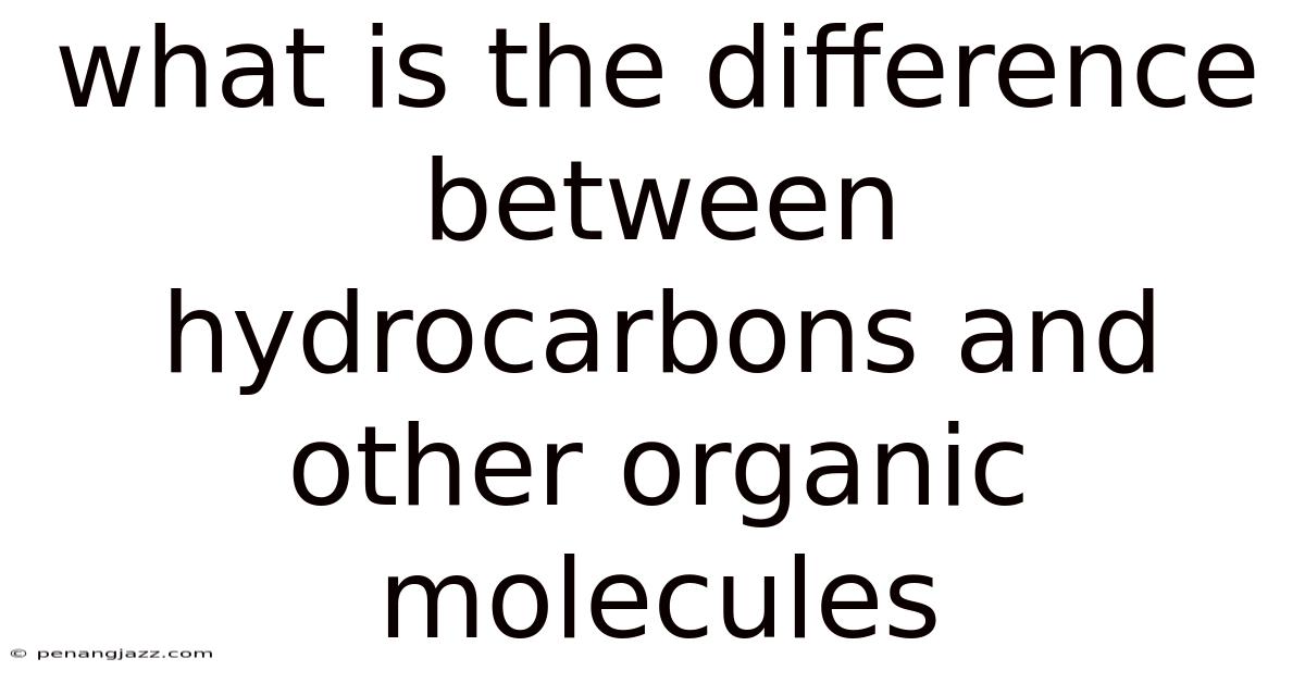 What Is The Difference Between Hydrocarbons And Other Organic Molecules