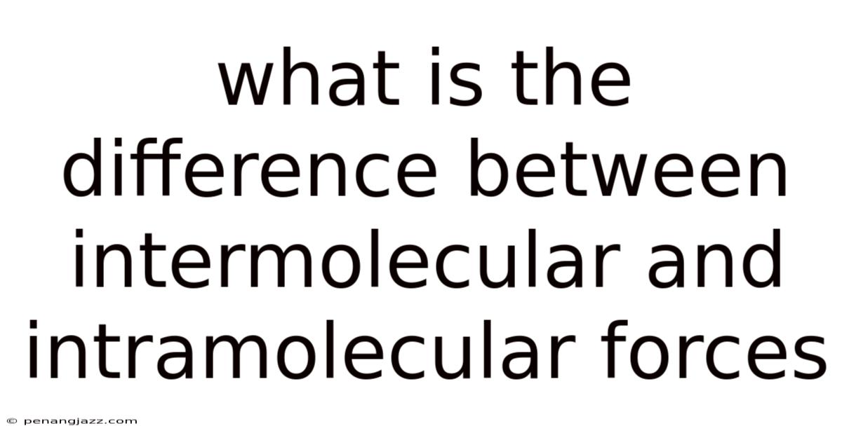 What Is The Difference Between Intermolecular And Intramolecular Forces