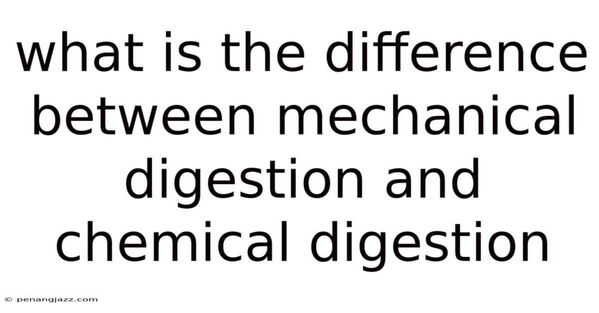 What Is The Difference Between Mechanical Digestion And Chemical Digestion