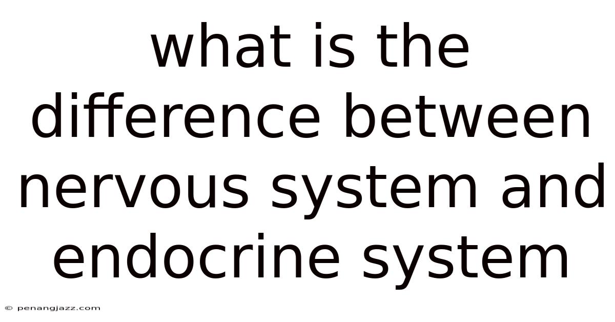What Is The Difference Between Nervous System And Endocrine System