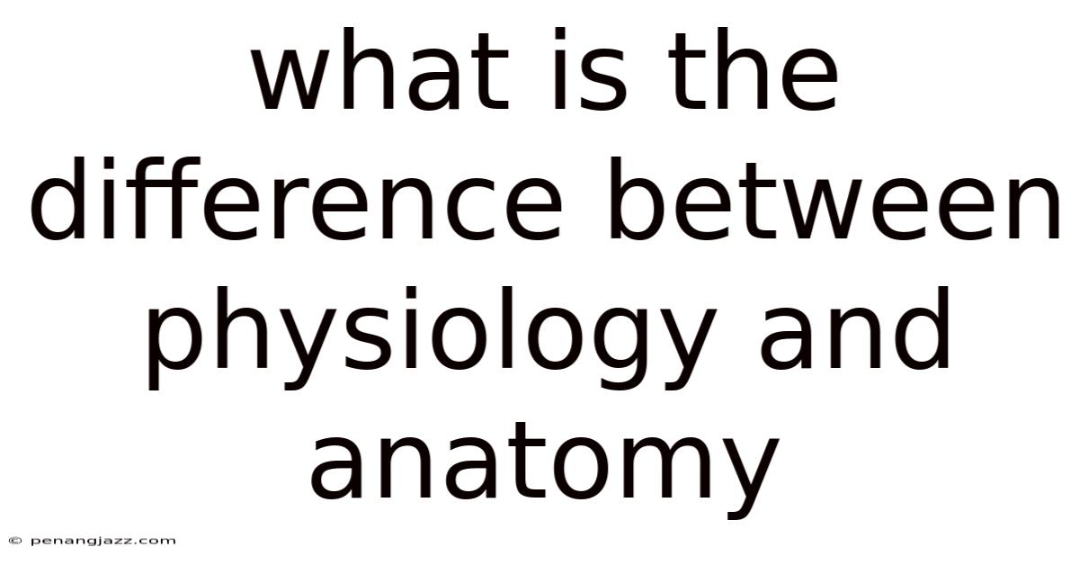 What Is The Difference Between Physiology And Anatomy