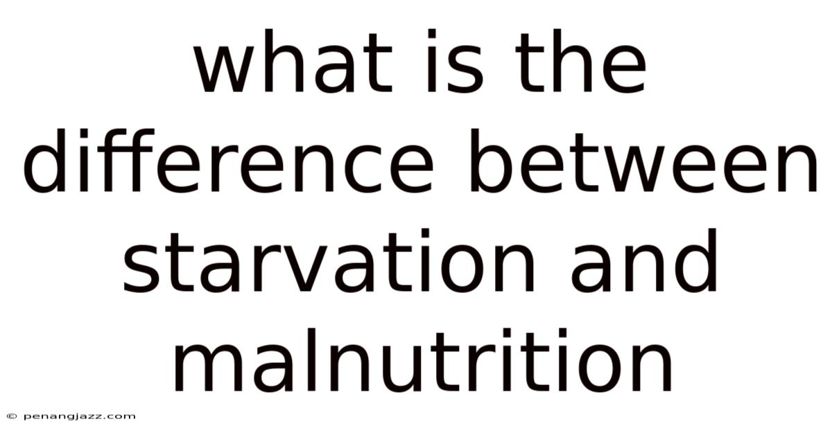 What Is The Difference Between Starvation And Malnutrition