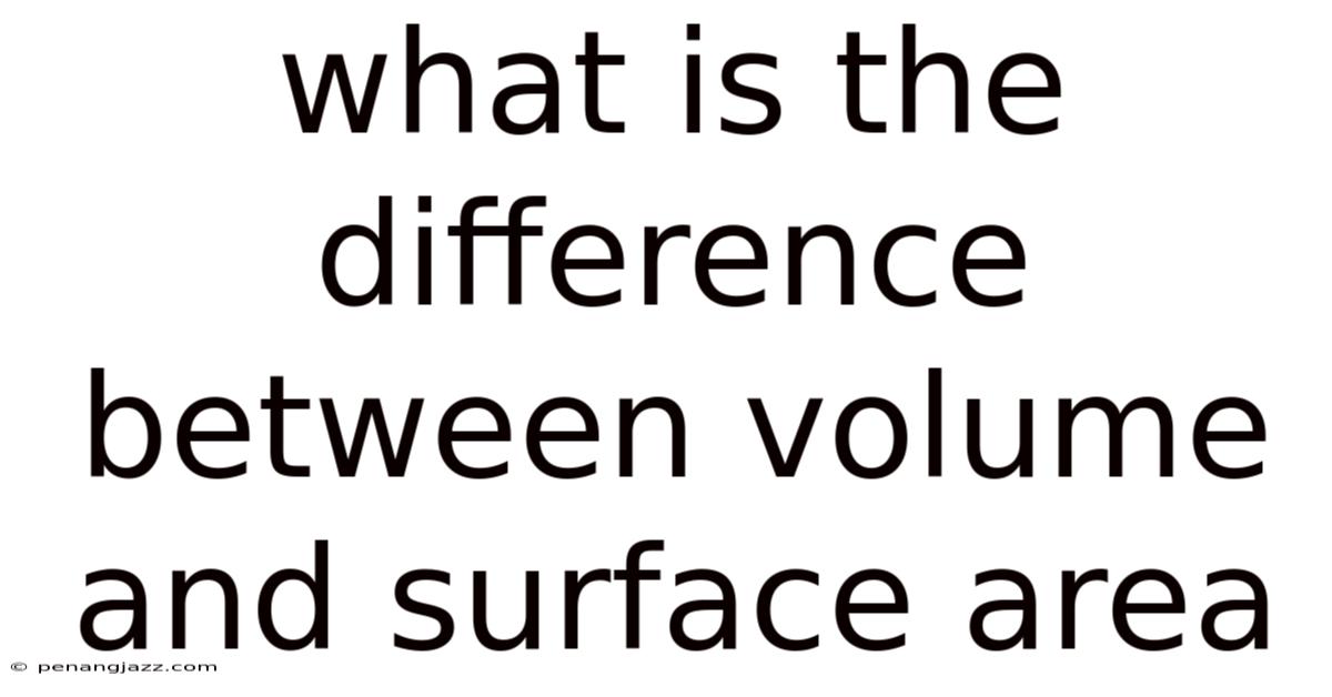 What Is The Difference Between Volume And Surface Area